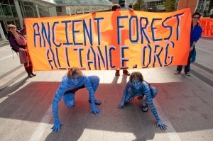Ancient Forest Alliance supporters dressed up as Na'vi characters from the movie Avatar and rallied in Vancouver, BC for the protection of the province's endangered old-growth forests.