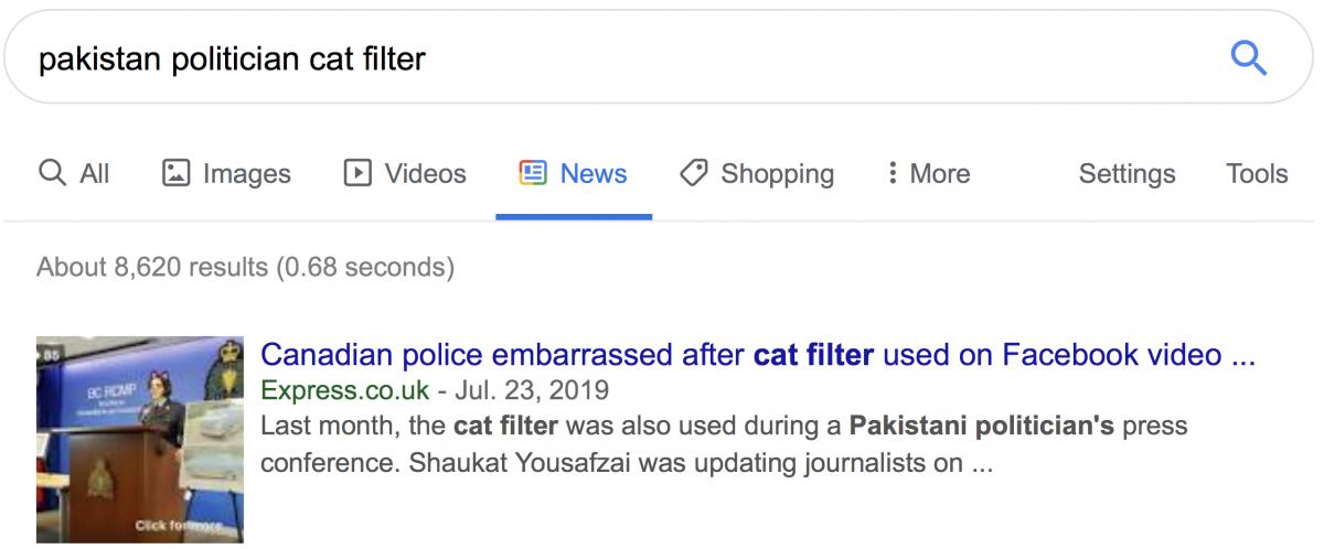 Pakistan politician cat filter search
