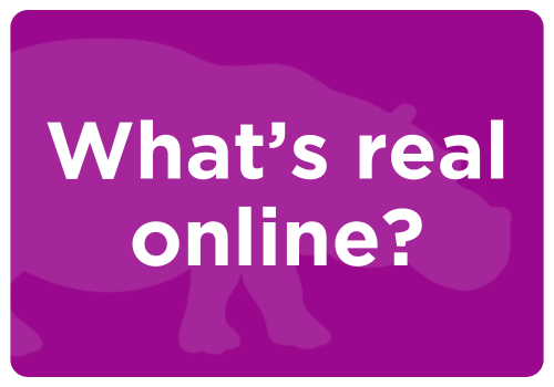 What's real online? lesson