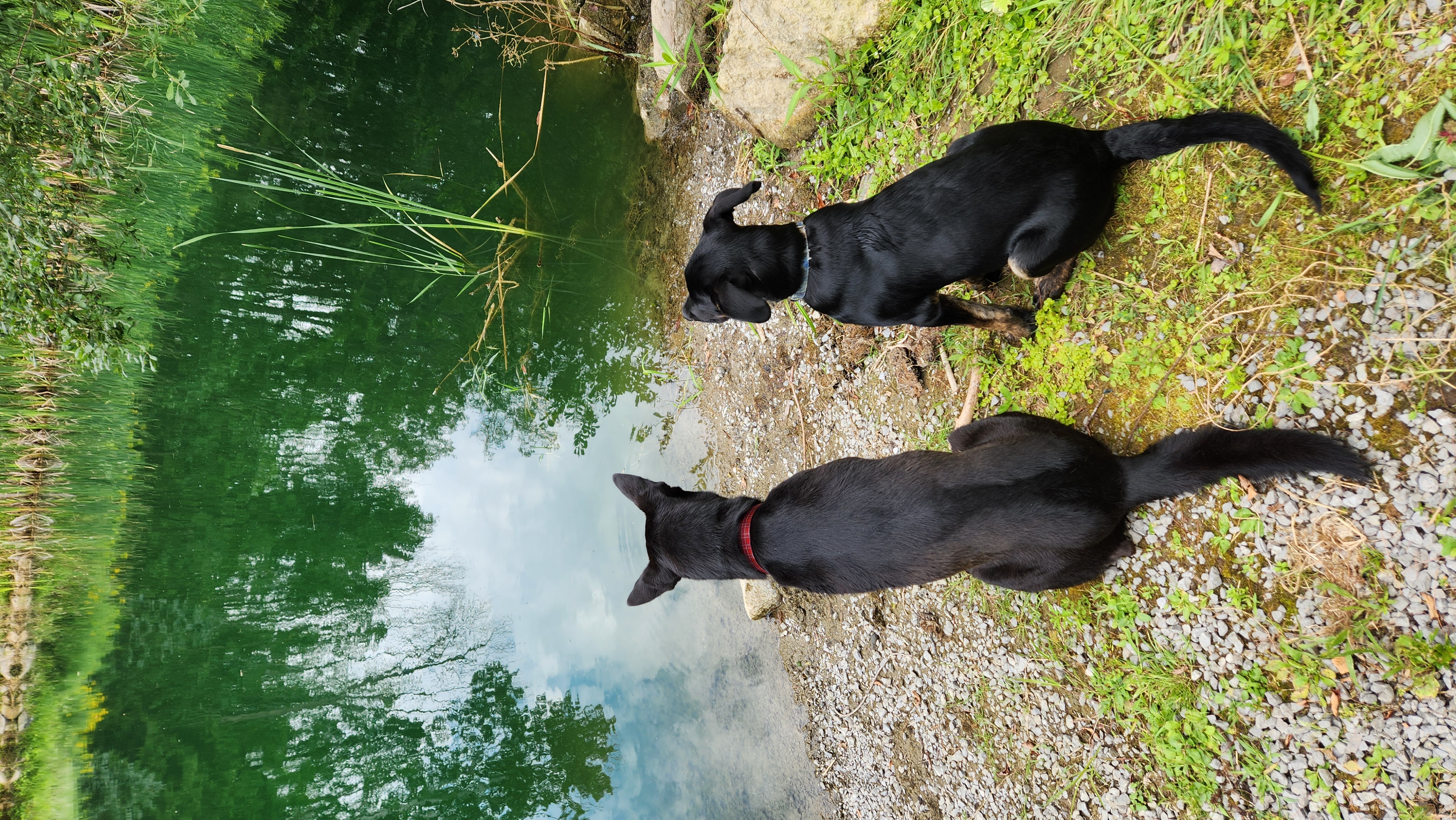 Maggie and River